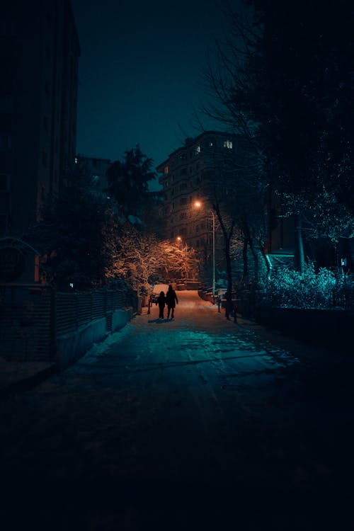 People Walking on a Street in Winter