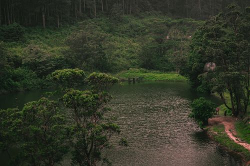 Free Scenic view of a lush forest and tranquil lake in Kandy, Sri Lanka. Perfect for nature enthusiasts. Stock Photo