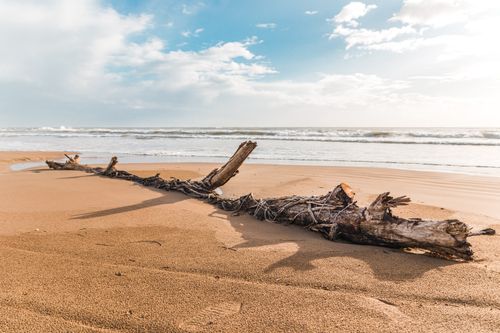 Free Serene Greek beach scene with driftwood on sand, calm waves, and a bright sky. Stock Photo