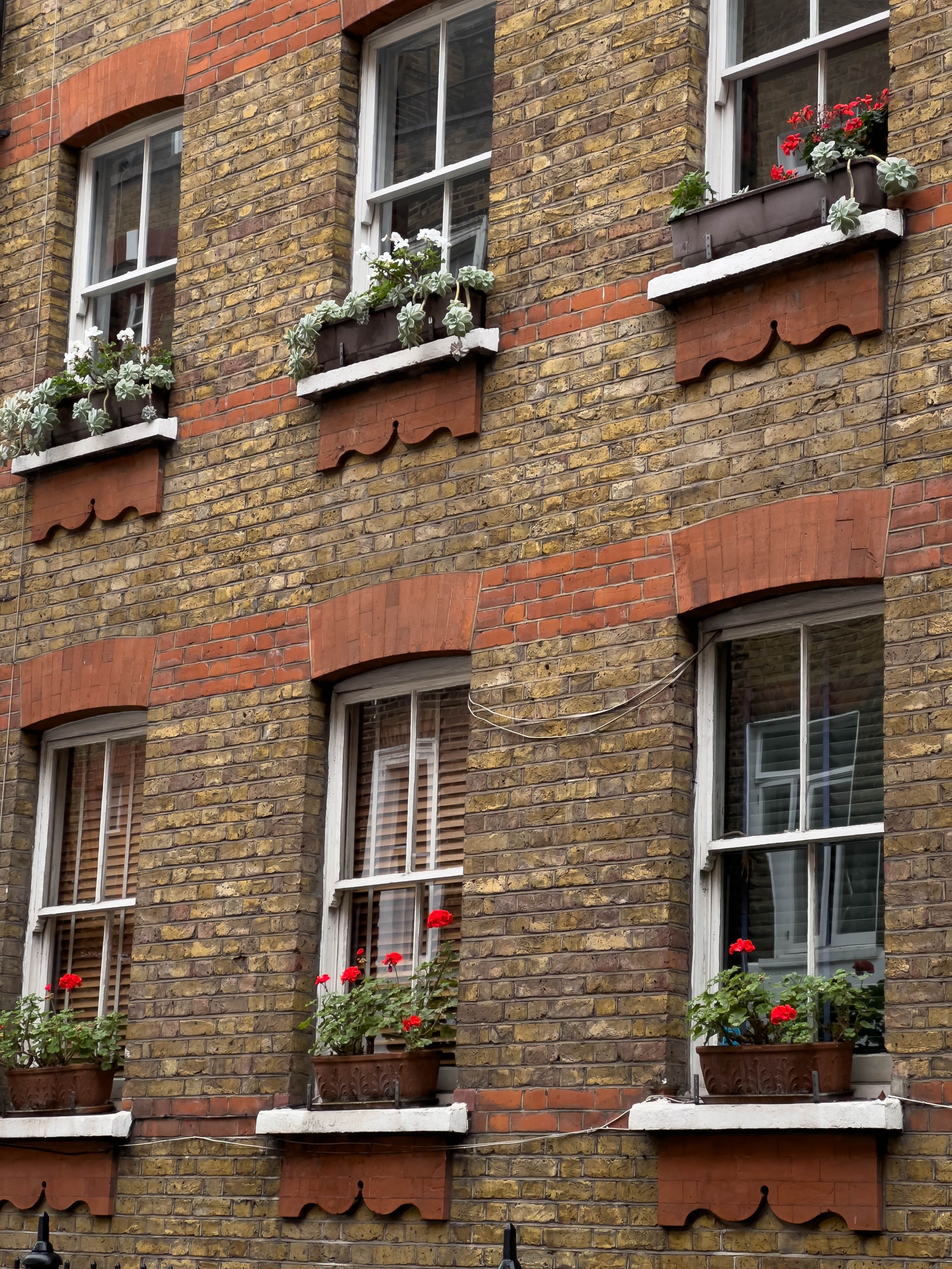 Brick building in London with vibrant flower boxes under windows. Classic architecture style.
