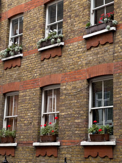 Brick building in London with vibrant flower boxes under windows. Classic architecture style.