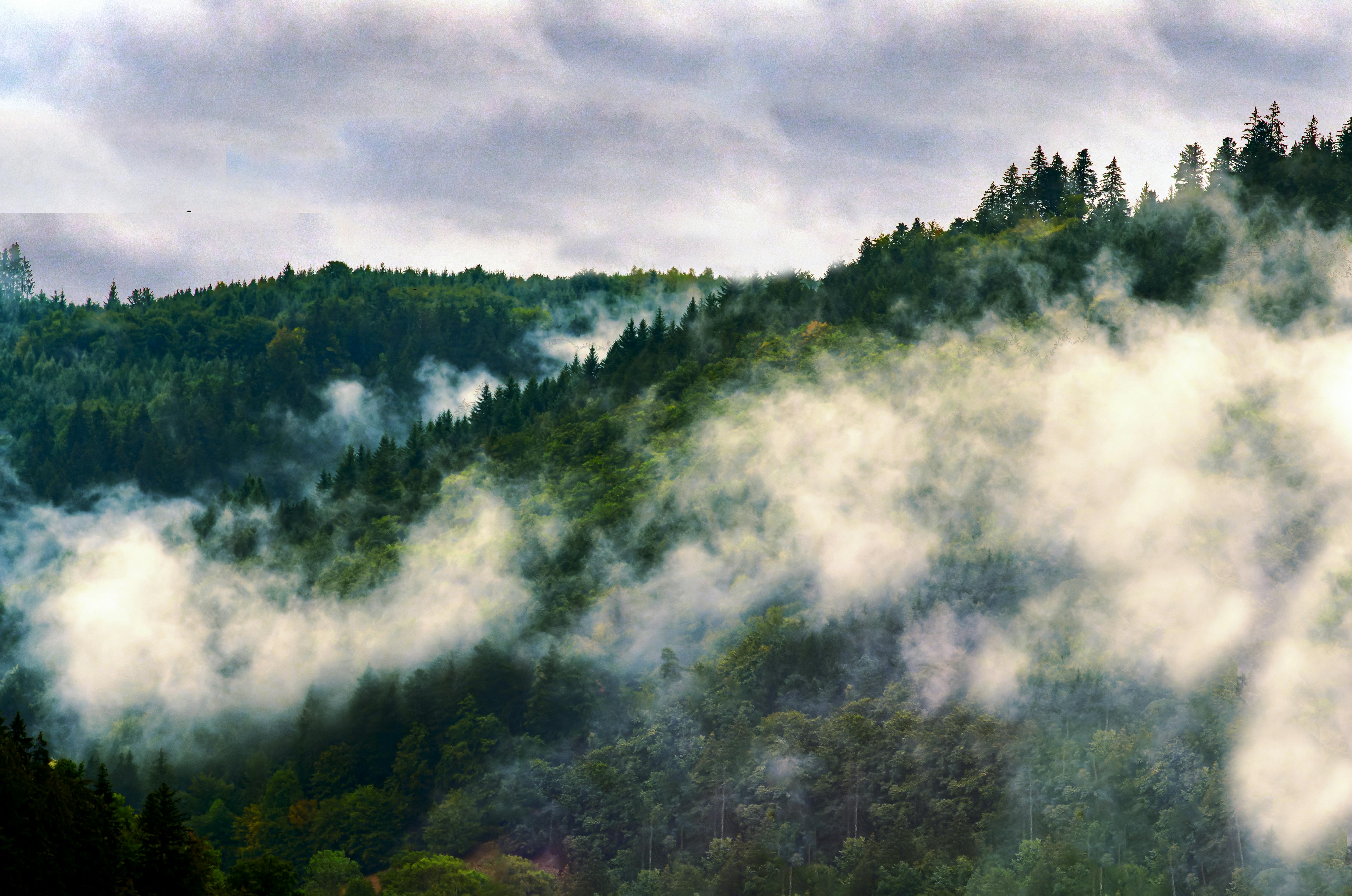 ‘Twin Peaks’ Review: Groundbreaking Television Series a Perfect Accompaniment to the Movies of Spooky Season — Photo by Horst