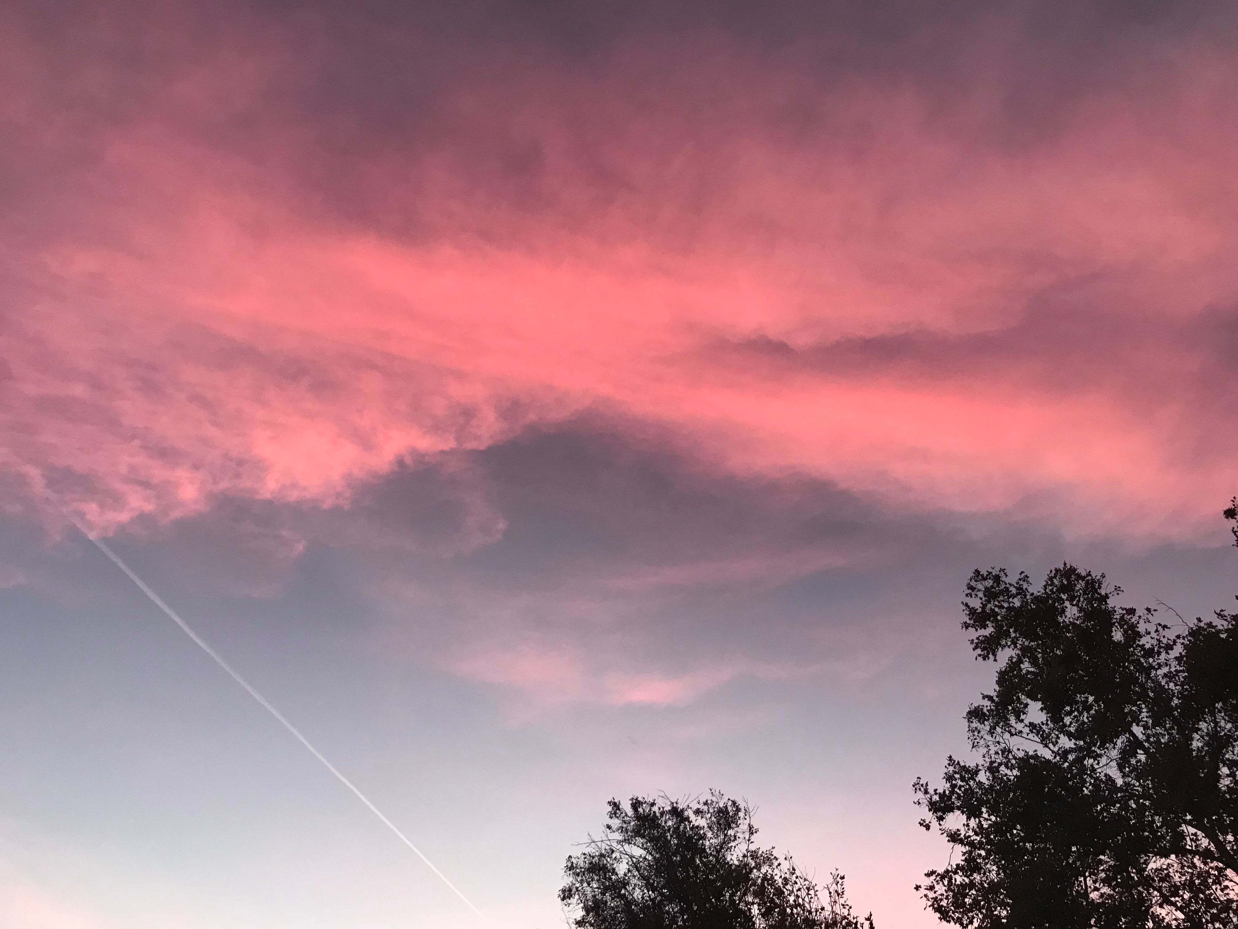 コレクション カリフォルニアの夕日 画像を検索してダウンロードする