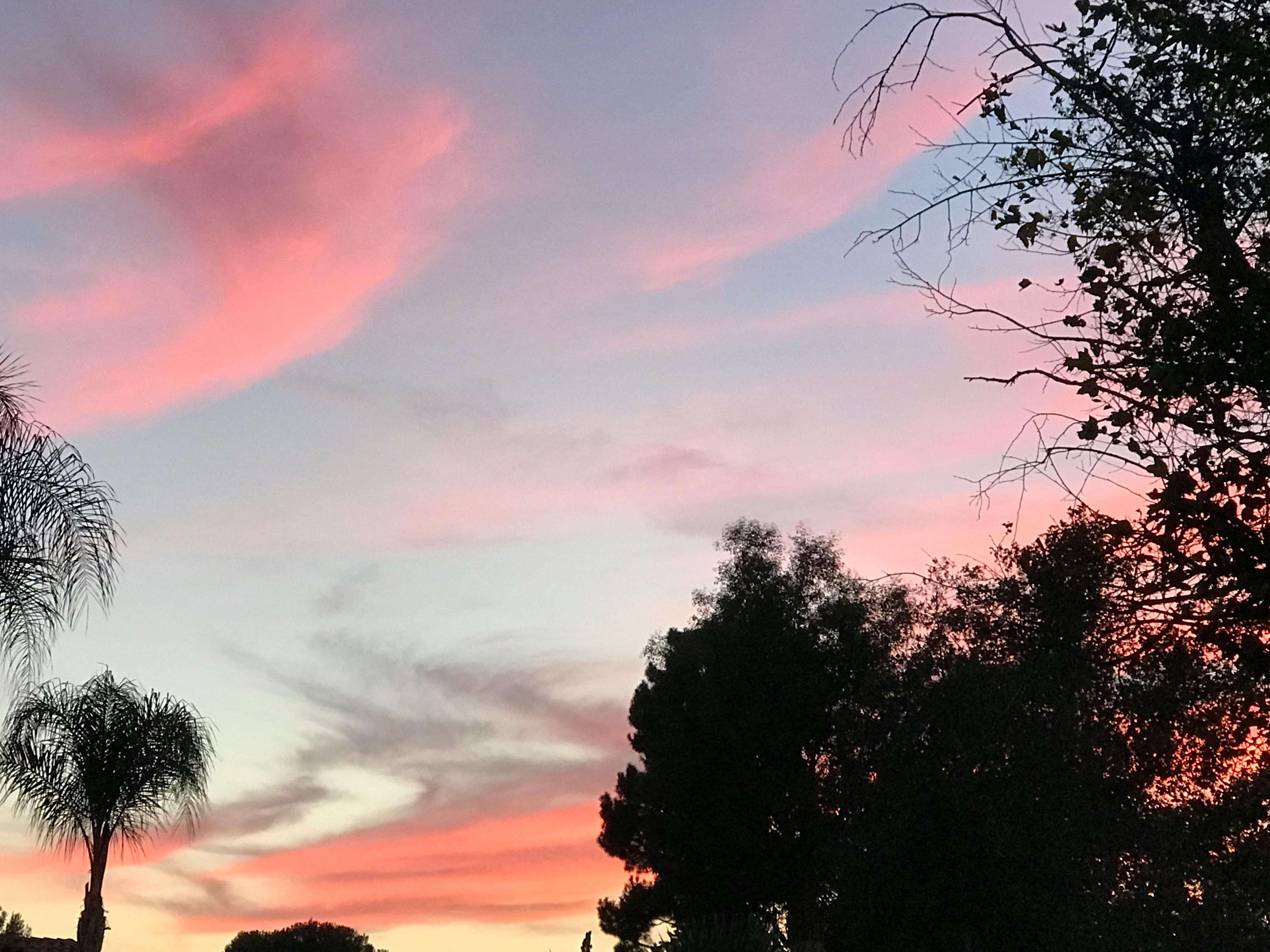 Free stock photo of California sunset