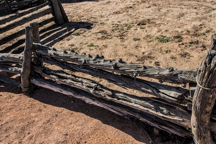 Tree Log Fence In The Farm