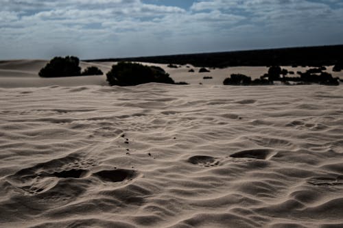 Photograph of Footprints on the Sand
