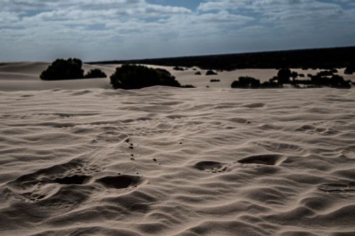 Free Explore the serene Mungo sand dunes with visible footprints and unique landscape. Stock Photo