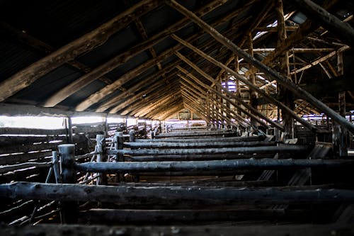 Old wool shed