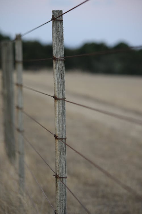 Close Up Photo of  Wooden Fence Post with Wire