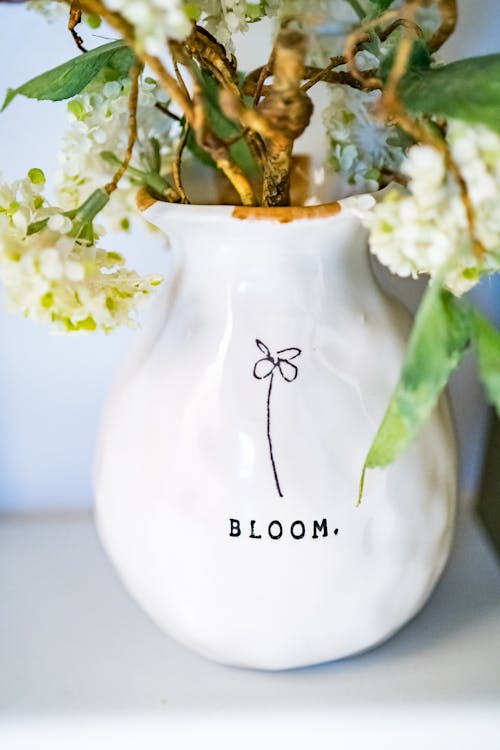 Gratis stockfoto met bloeien, detailopname, flora