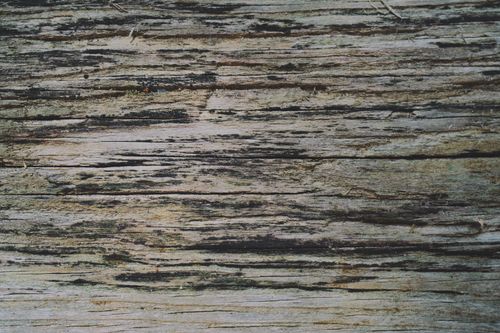 Free Close-up view of a weathered wooden texture with rich, rough grain and natural weathering patterns. Stock Photo