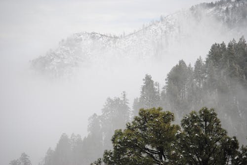 NOAA's La Niña Outlook Predicts Warm, Dry Winter for Southern U.S., Wet North