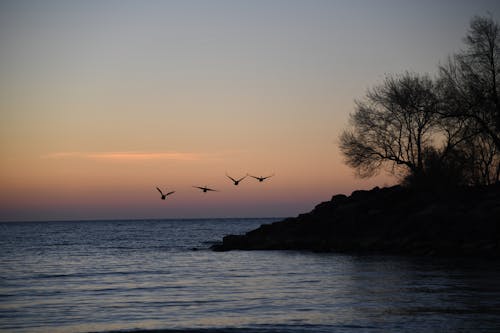 Kostenloses Stock Foto zu dramatischer himmel, fliegen, meer