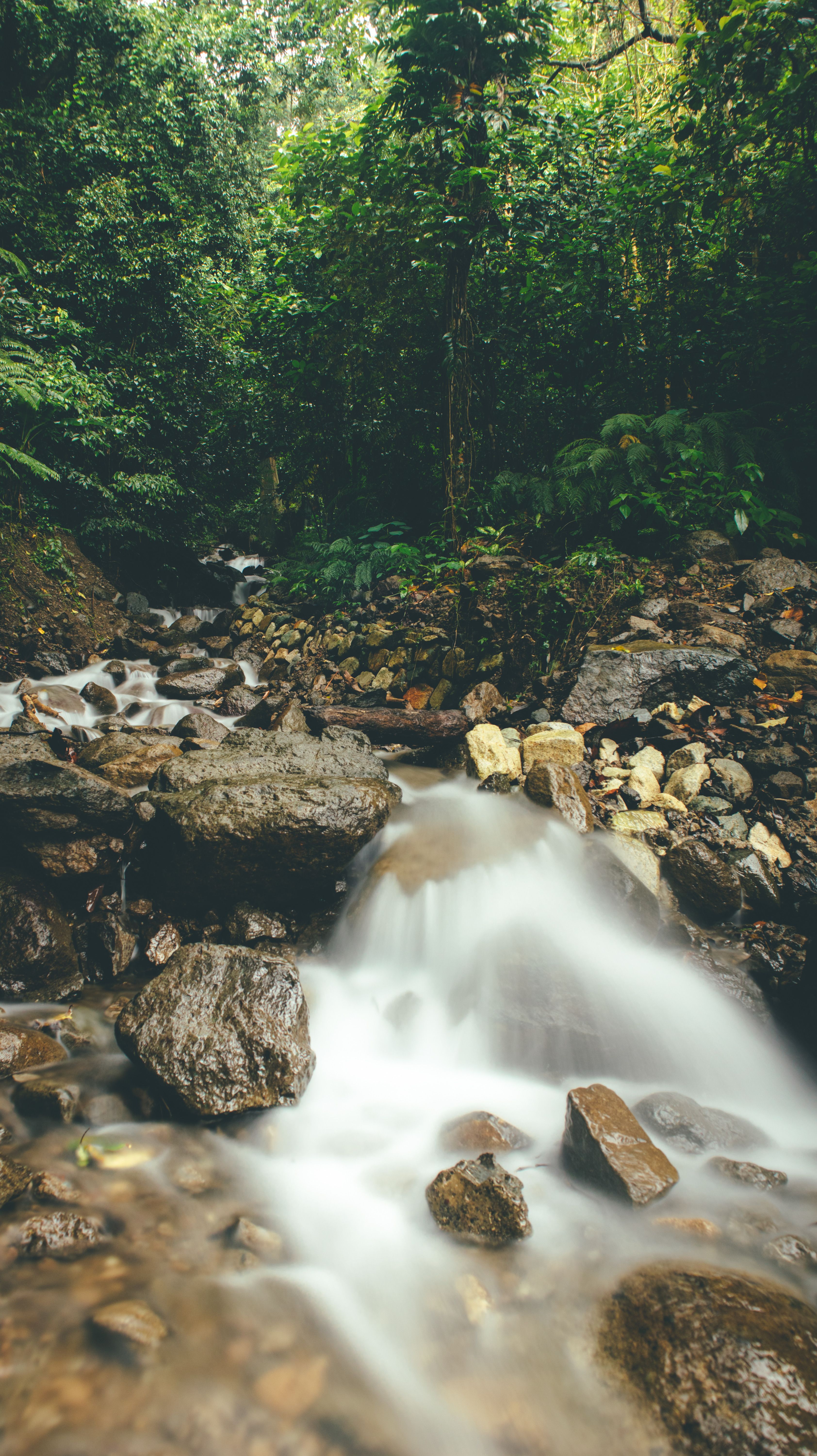 Photo of a Flowing River with Rocks · Free Stock Photo