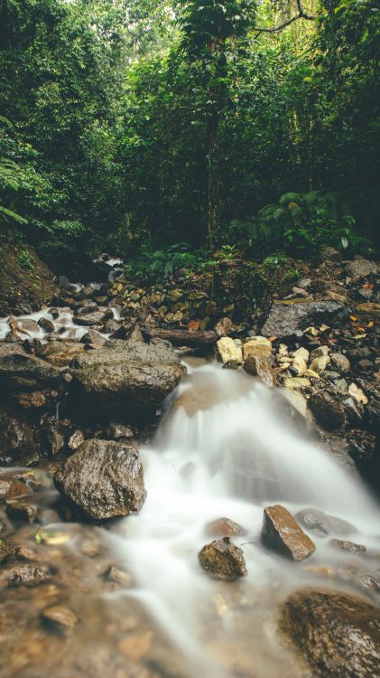 Photo of a Flowing River with Rocks · Free Stock Photo