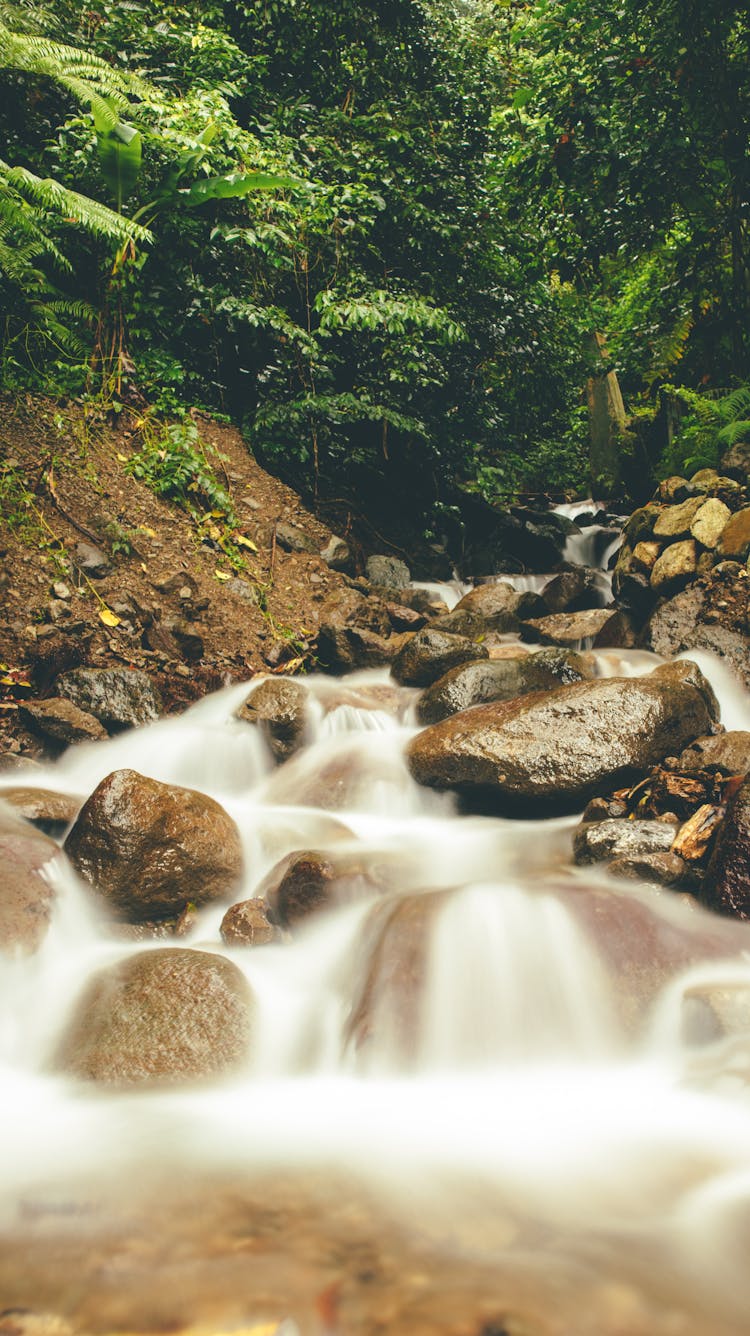 Rapids From River Flowing Through Brown Rocks