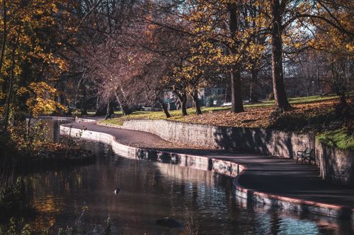 Free Gentle autumn scenery in an English park with a pond and pathway, showcasing vibrant fall foliage. Stock Photo
