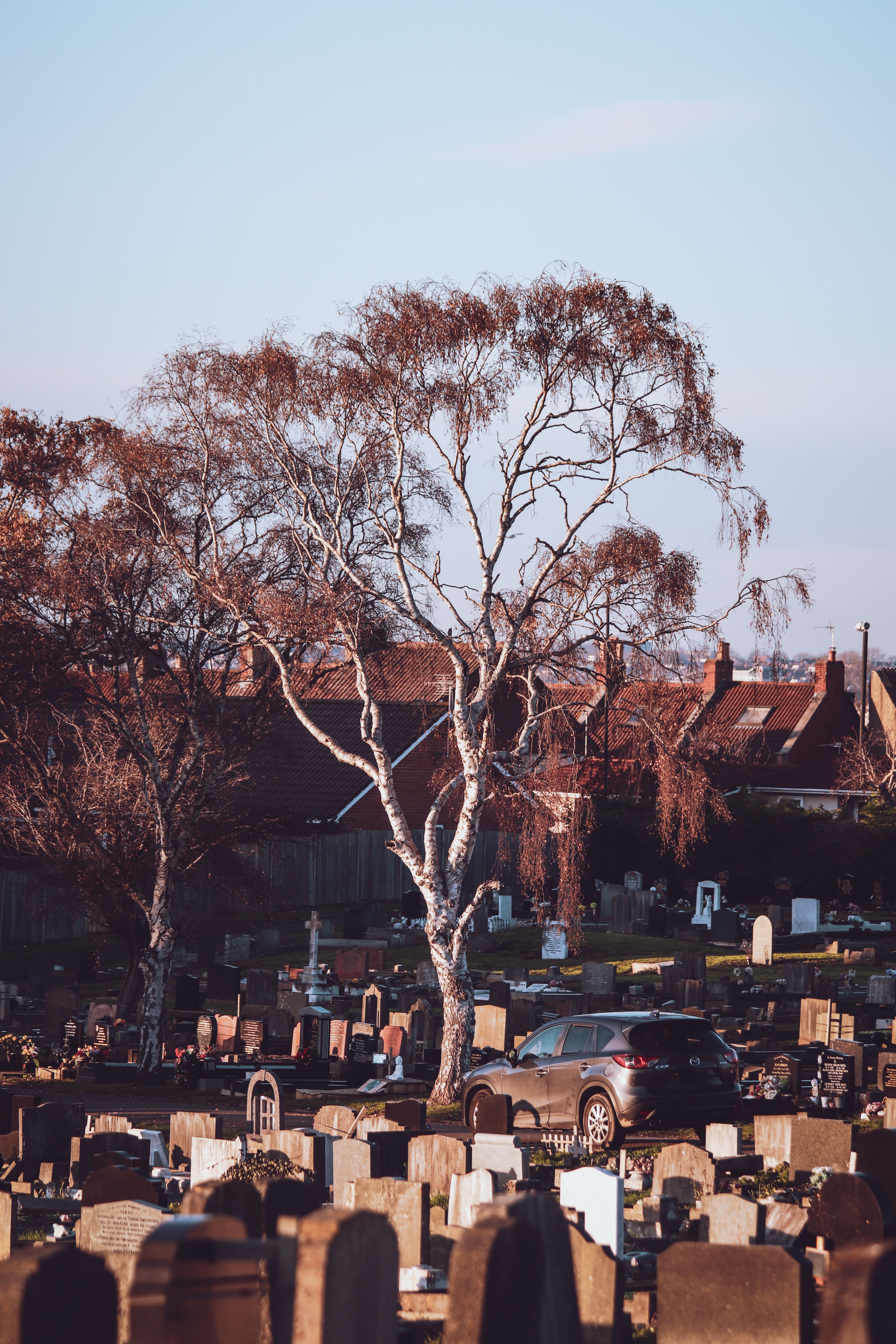 Illustrative stock photograph; not a verified image of the reported event or person