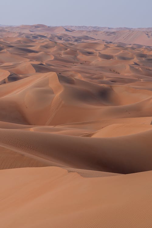 Scenic View of the Sand Dunes in the Desert