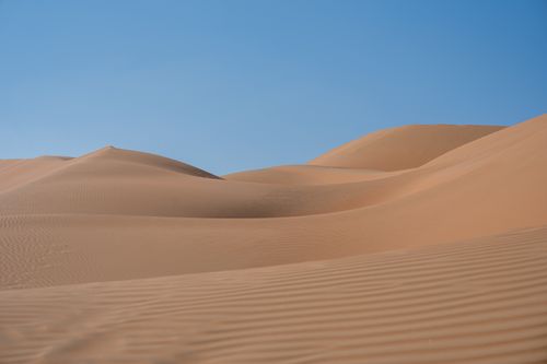 Free Vast sand dunes stretch under a bright blue sky, capturing the essence of desert tranquility. Stock Photo