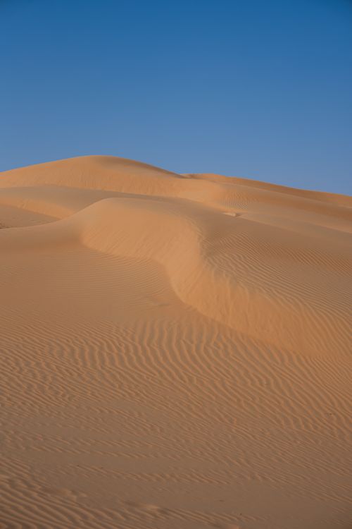 Free Golden sand dunes under a bright blue sky, capturing the essence of desert landscapes. Stock Photo