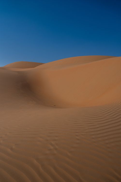 Free Golden sand dunes under a clear blue sky capturing the essence of a tranquil desert landscape. Stock Photo