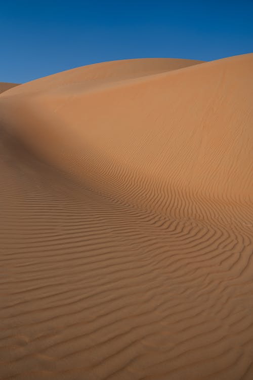 คลังภาพถ่ายฟรี ของ กระเพื่อม, ทราย, ทะเลทราย