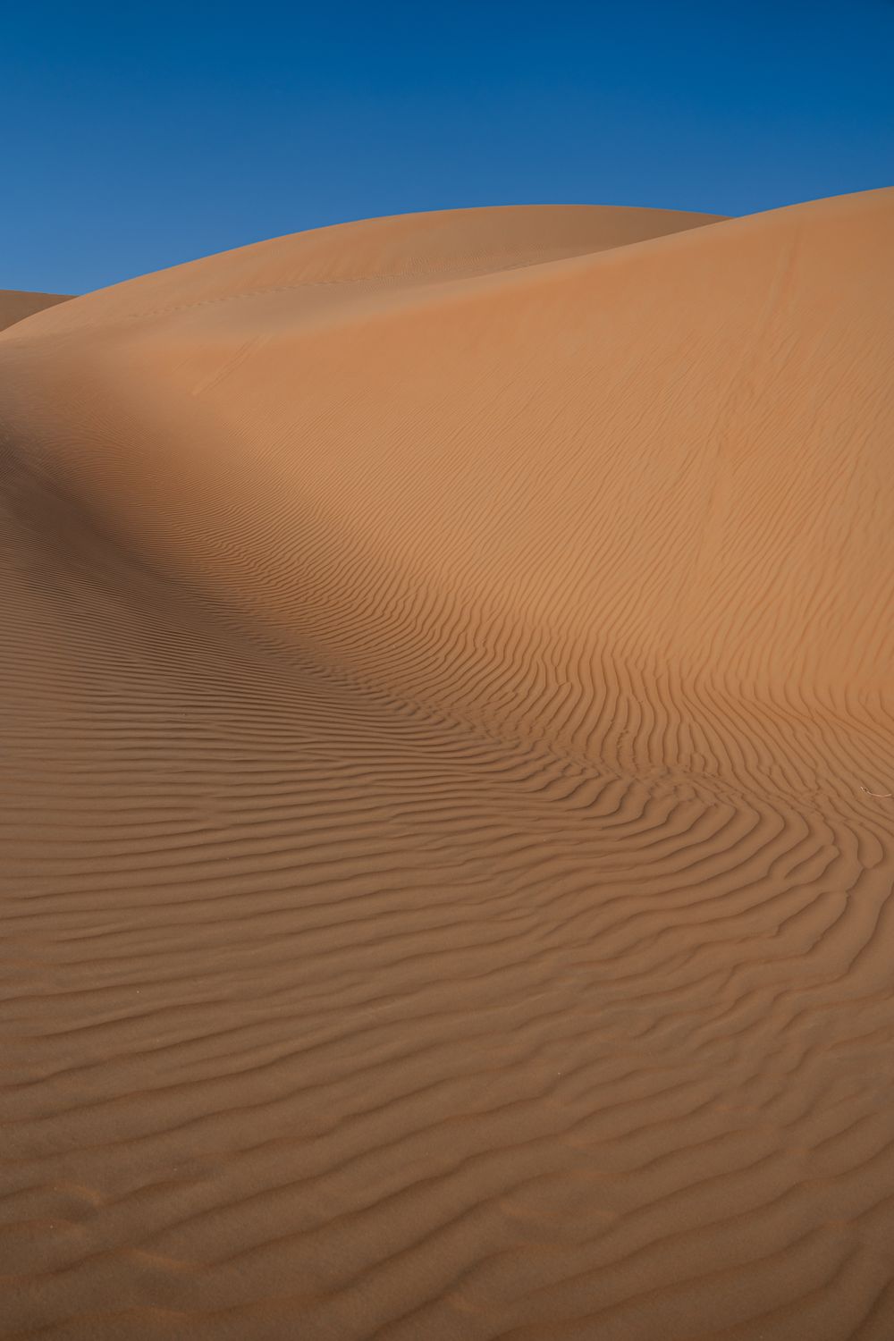 Dessert Ripples Desert Sand Ripples · Free Stock Photo