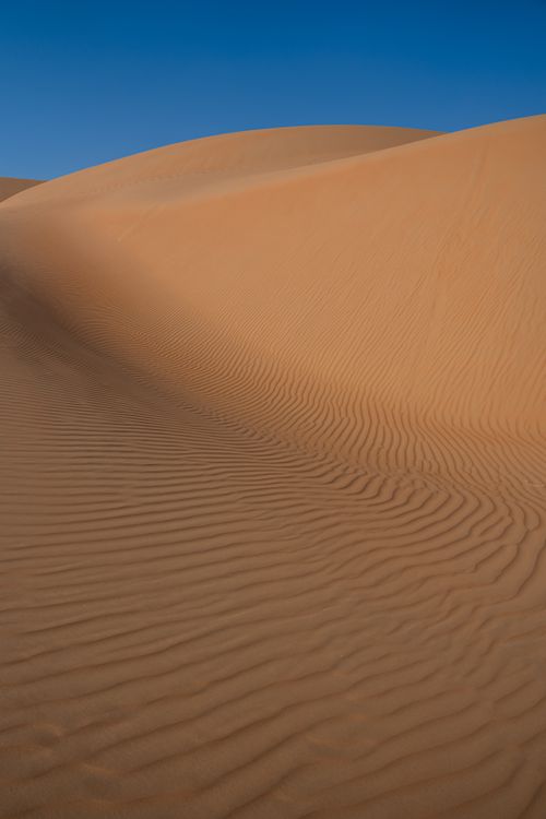 Free Captivating textures and golden hues of sand dunes captured in a serene desert landscape. Stock Photo