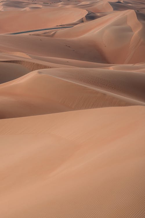 Sand Dunes in the Desert