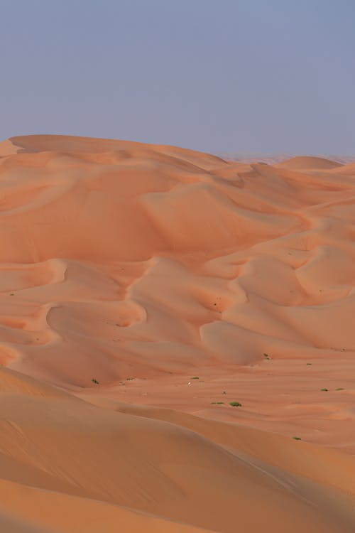 Základová fotografie zdarma na téma písečné duny, písek, poušť