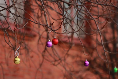 Fotos de stock gratuitas de adornos, adornos de navidad, árbol desnudo