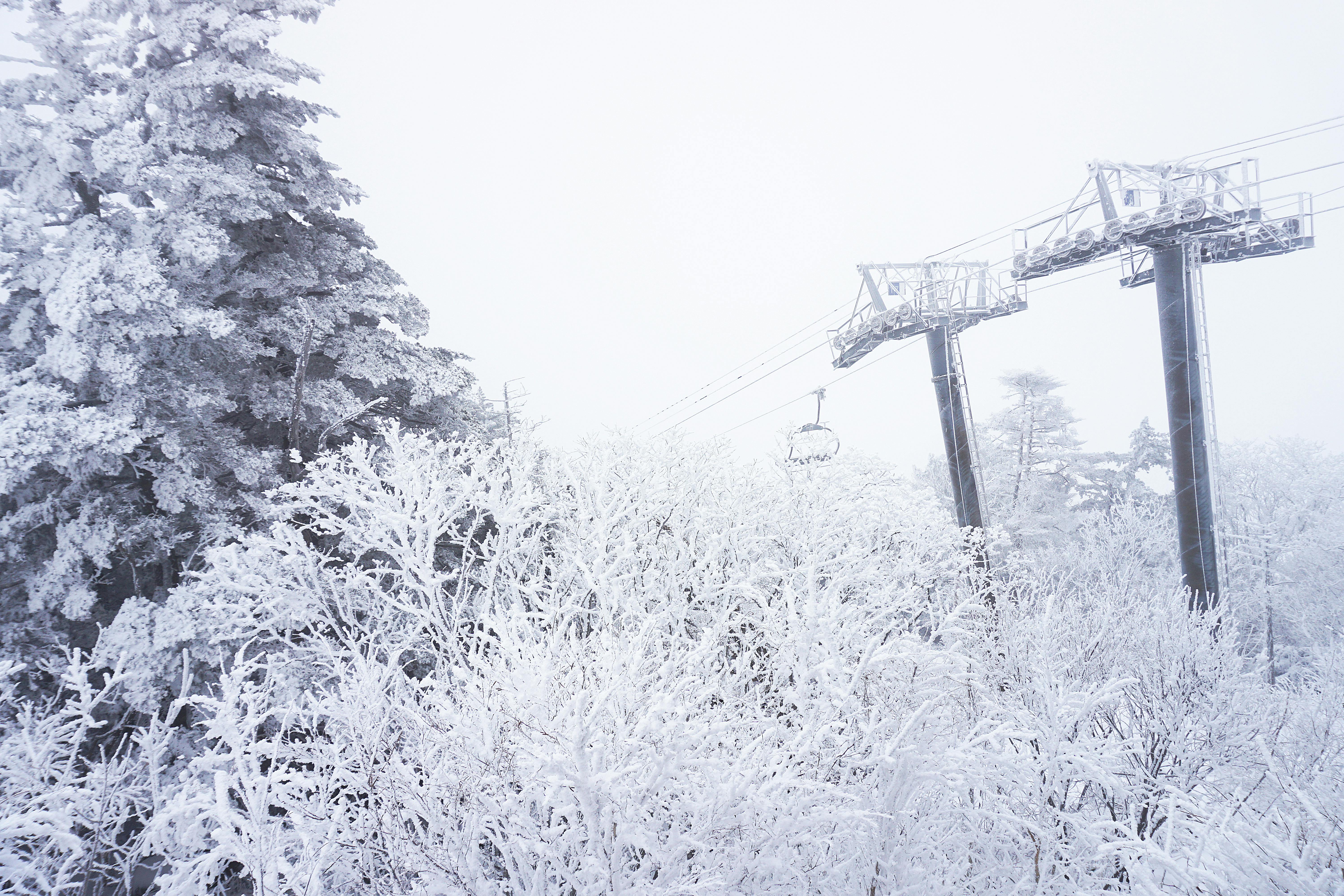 Prescription Goggle Inserts - A serene winter scene showcasing snow-covered trees and a ski lift in action, ideal for winter sports imagery.