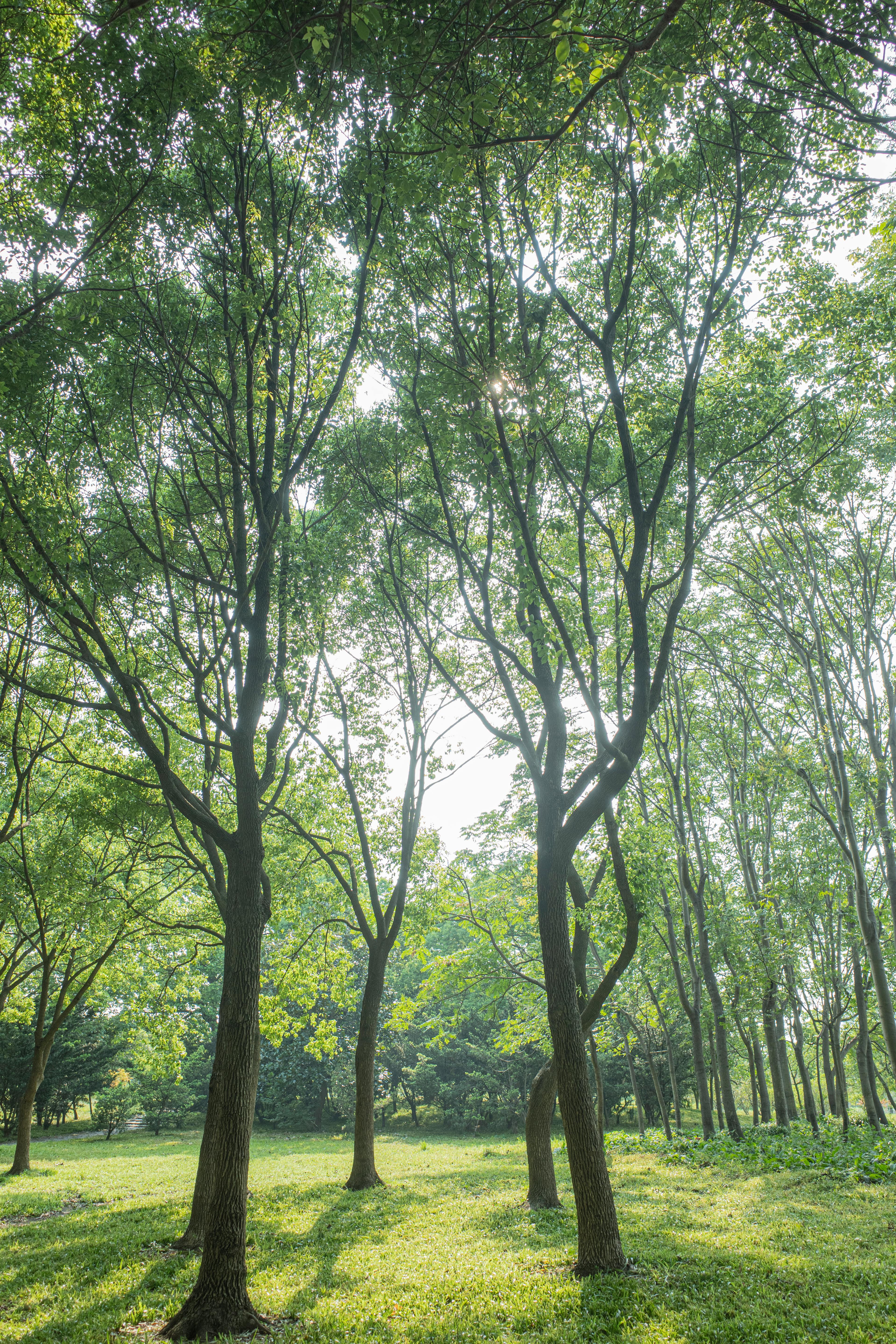 How to lose 10 kg in 15 days?