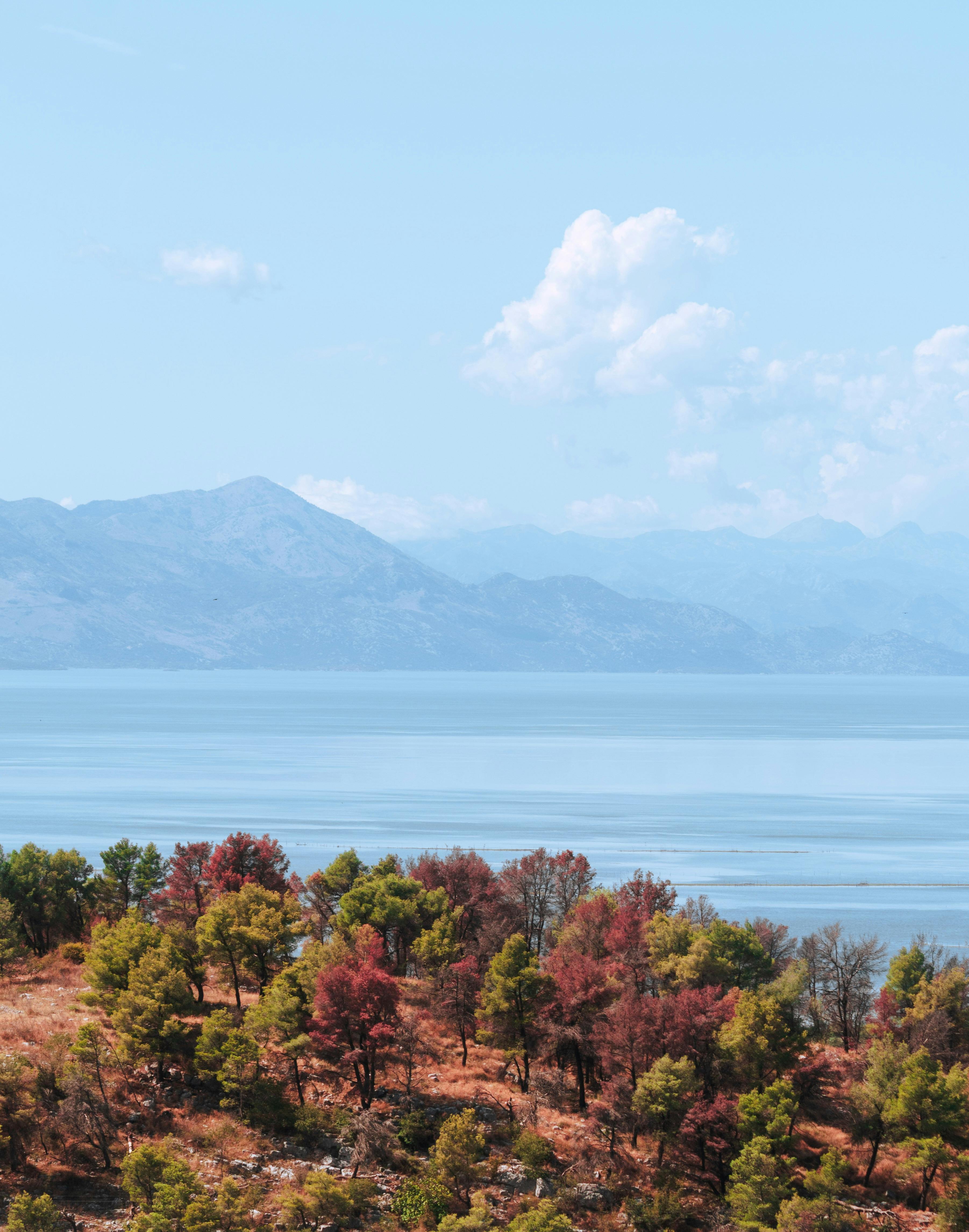 Beautiful landscape of Shkodër Lake with mountains and colorful trees under a serene blue sky.
