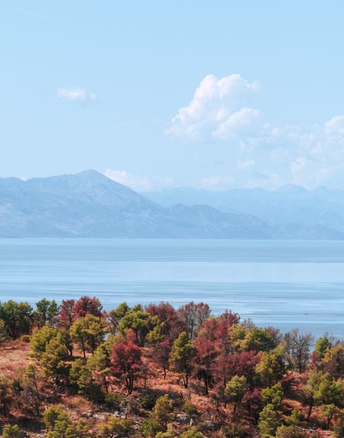 Free Beautiful landscape of Shkodër Lake with mountains and colorful trees under a serene blue sky. Stock Photo