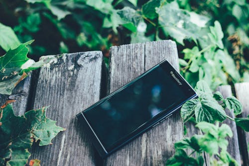Ingyenes stockfotó android, blackberry, borostyán témában