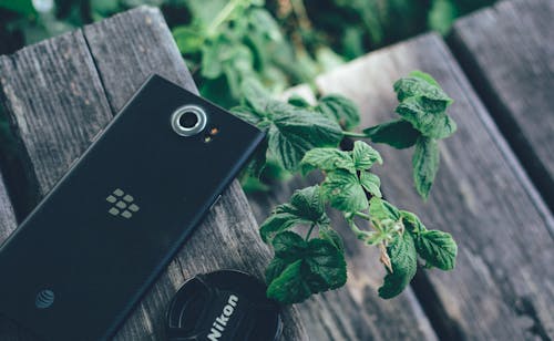Black Blackberry Smartphone on Wooden Surface
