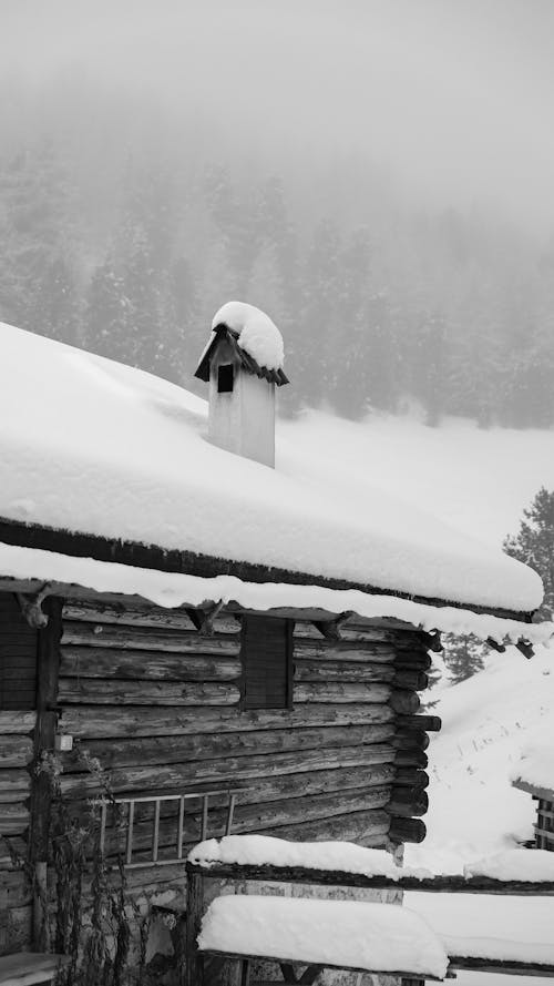 Snow Covered Log House 
