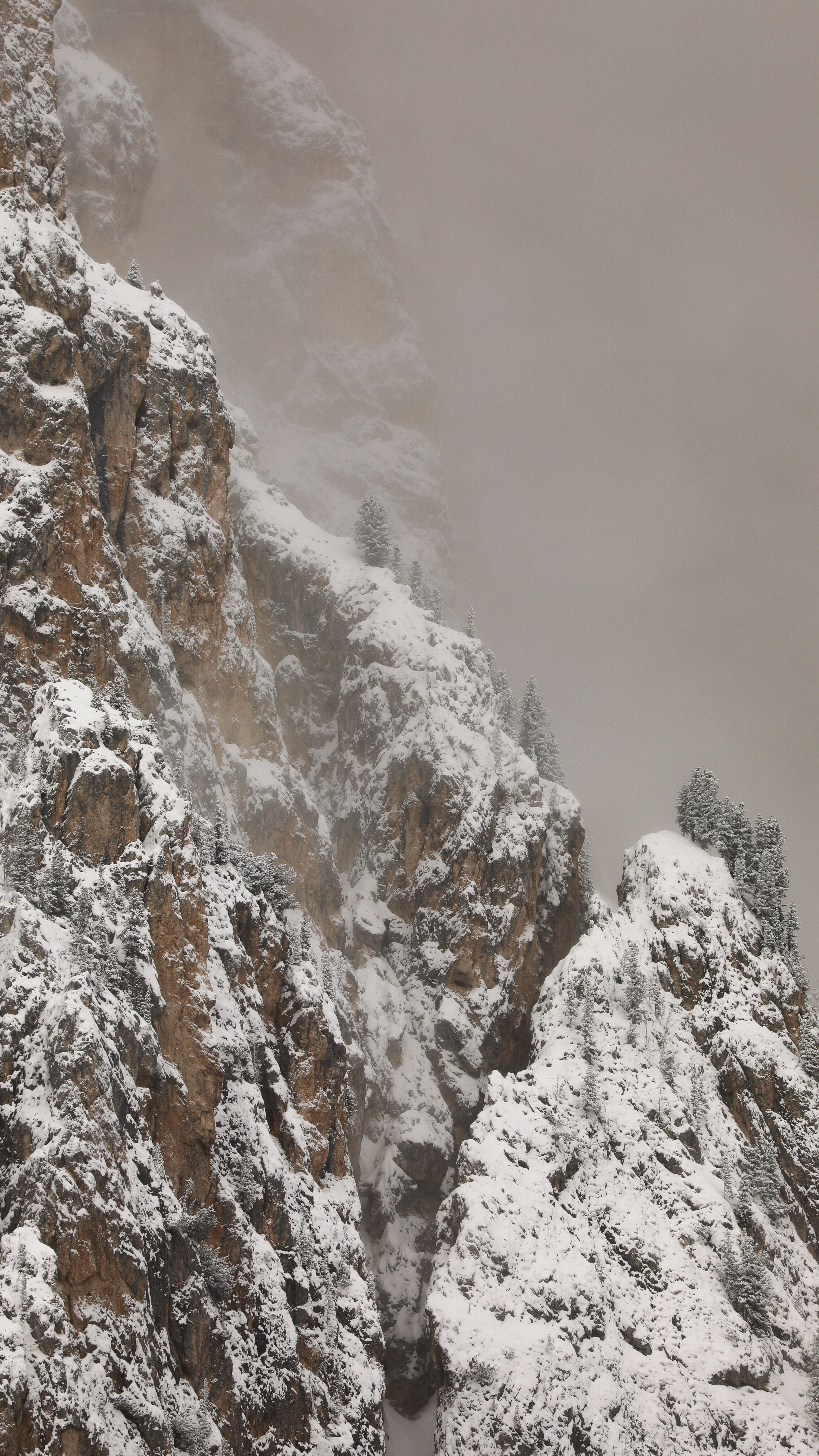A serene snowy landscape showcases the majestic Rocky Mountains under a foggy winter sky.