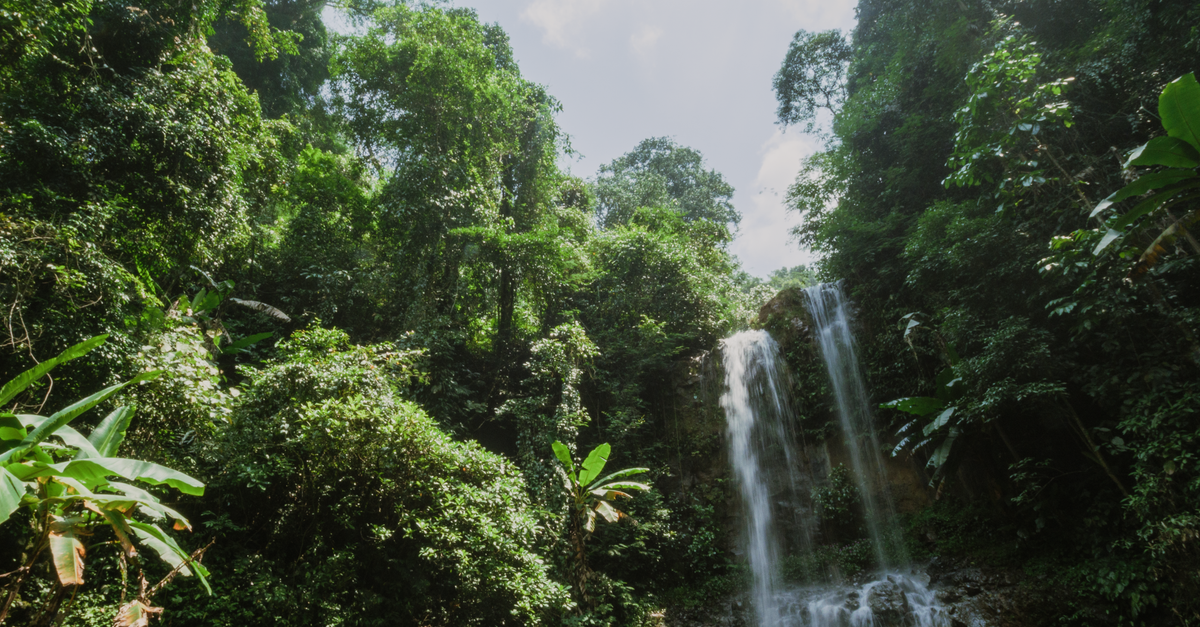 Wli Waterfall cascading through lush green jungle with mist