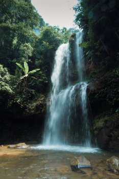 A stunning waterfall cascades through a vibrant green forest under the daylight.