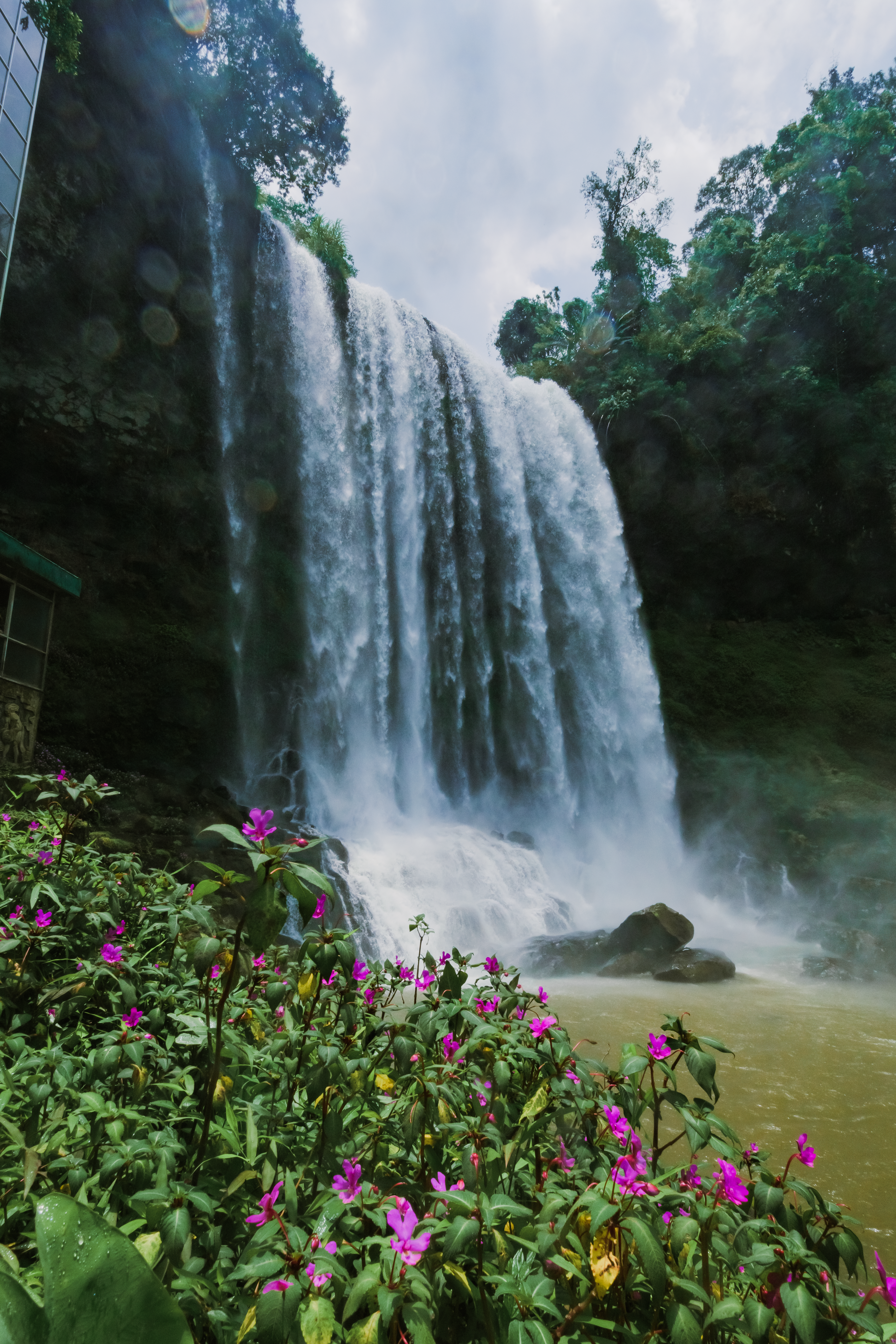 Pink Flowers Near the Waterfalls · Free Stock Photo