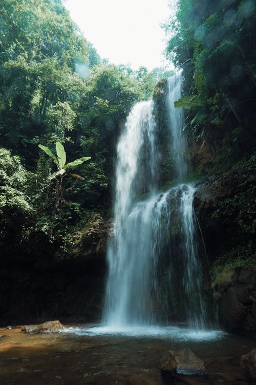 Foto profissional grátis de árvores verdes, cachoeiras, cascatas