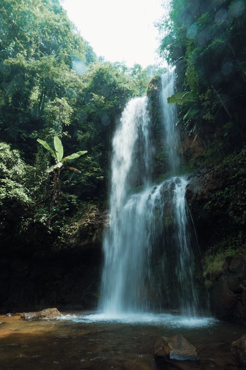 A Waterfalls Cascading on River Between Green Trees at the Forest