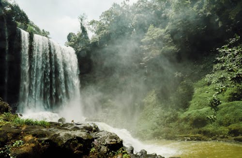 Бесплатное стоковое фото с водопад, глубокий, деревья