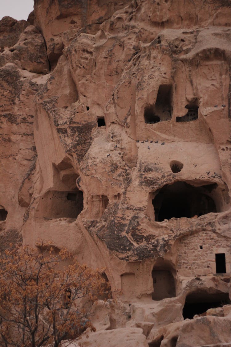 Close Up Shot Of Caves In Rock Formation