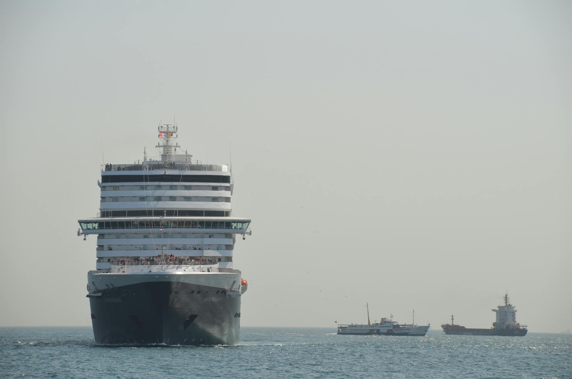 Large cruise ship sails peacefully on open water with smaller ships nearby.