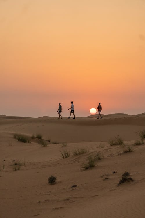 Men Walking on Desert at Sunset
