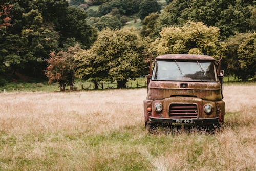 Old Truck on a Field 